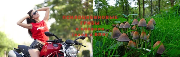 кокс Майский