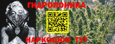 прущая мука Гусев