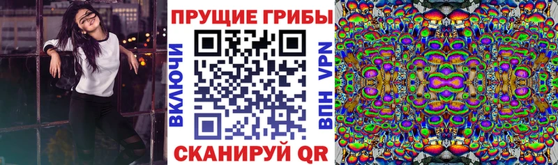 Галлюциногенные грибы прущие грибы  наркотики  Котовск 