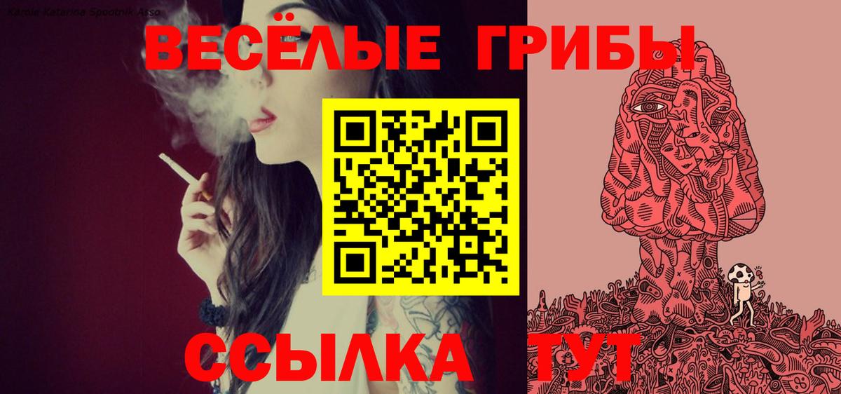 Галлюциногенные грибы ЛСД  Вход с VPN  хочу наркоту  Котовск 